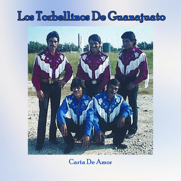 Los Torbelinos De Guanajuato's avatar image