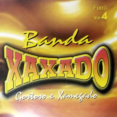 Vai Decolar By Forró Manaus, Banda Xaxado's cover