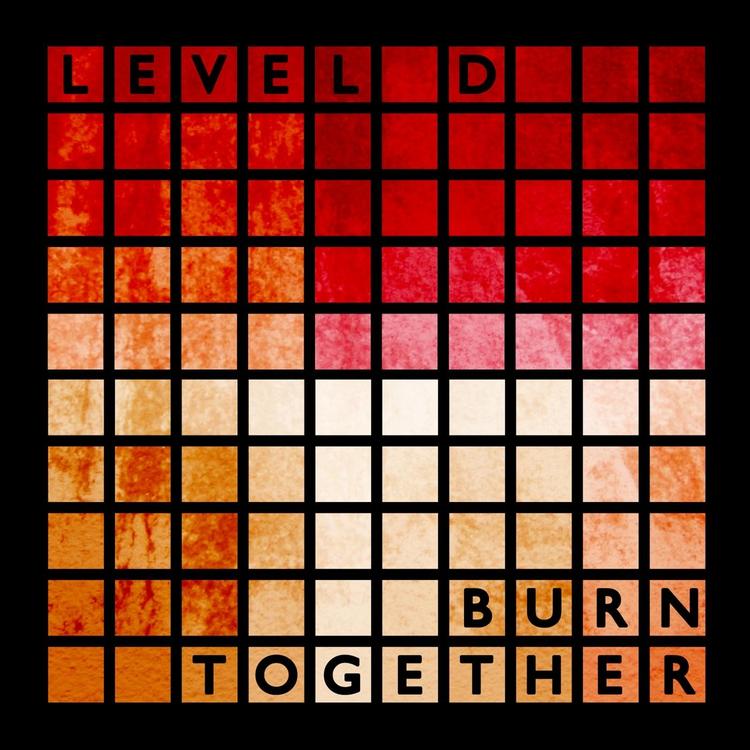 Level D's avatar image
