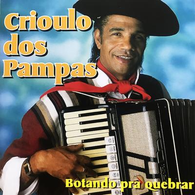 O Ronco do Tatu Macho By Crioulo dos Pampas's cover