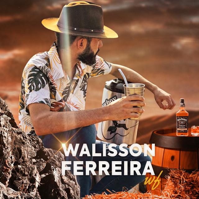 Walisson Ferreira's avatar image