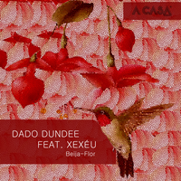 Dado Dundee's avatar cover