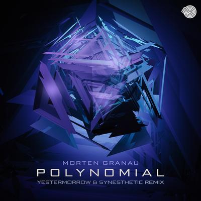 Polynomial By Morten Granau, Yestermorrow, Synesthetic's cover