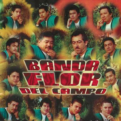 Banda Flor Del Campo's cover