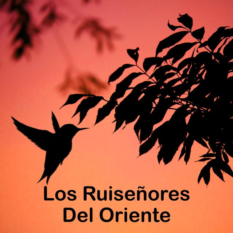 Los Ruiseñores Del Oriente's avatar image