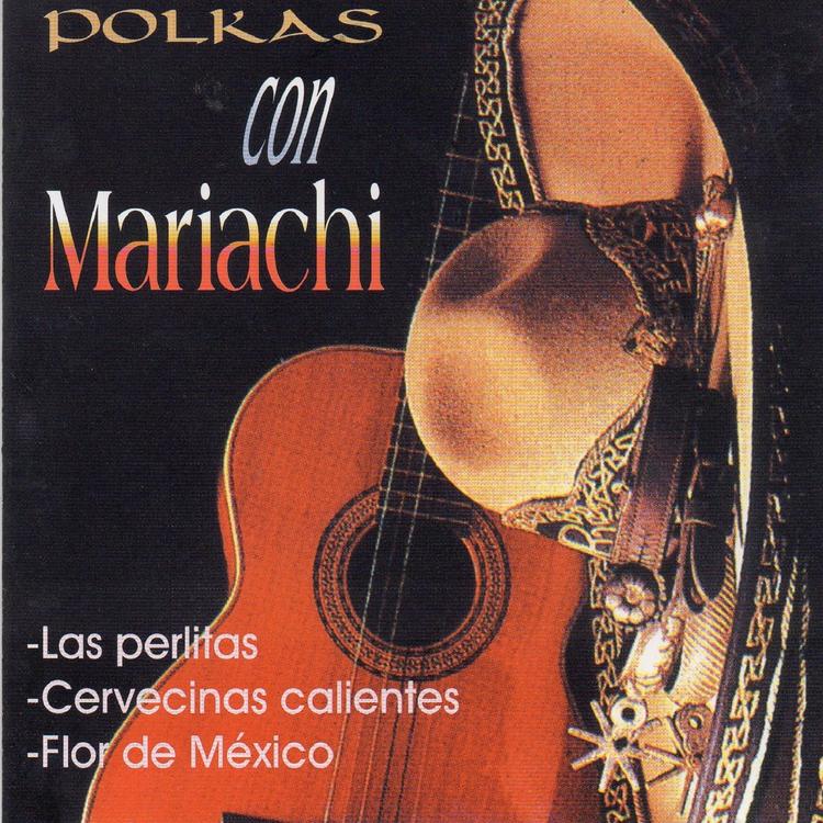 Polkas Con Mariachi's avatar image