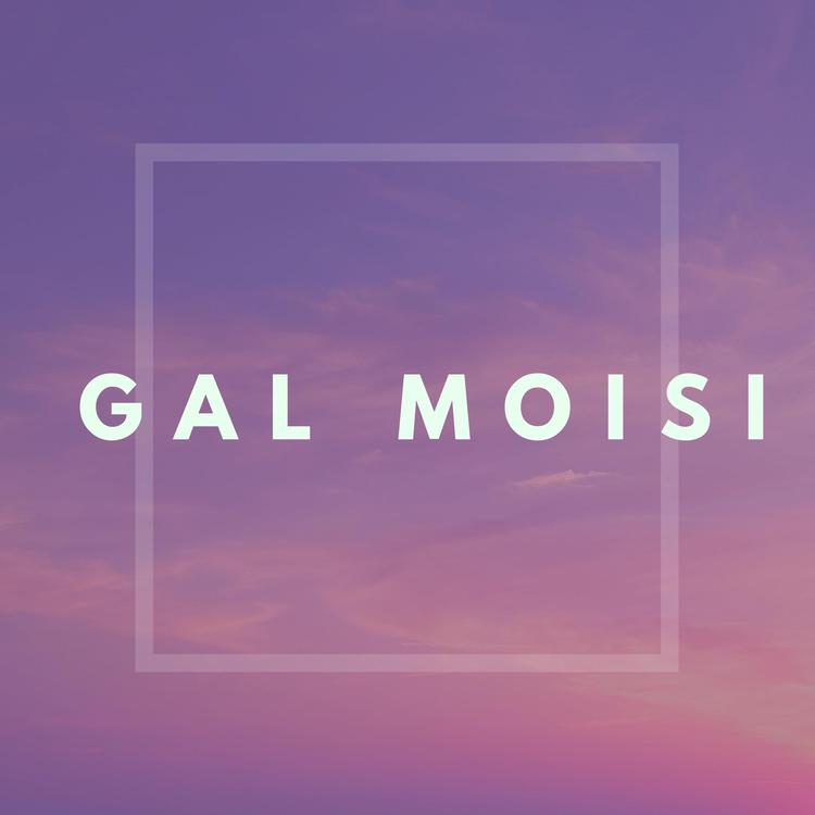 Gal Moisi's avatar image