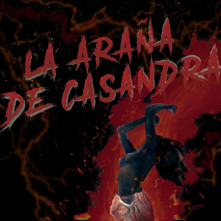 La Araña de Casandra's avatar image