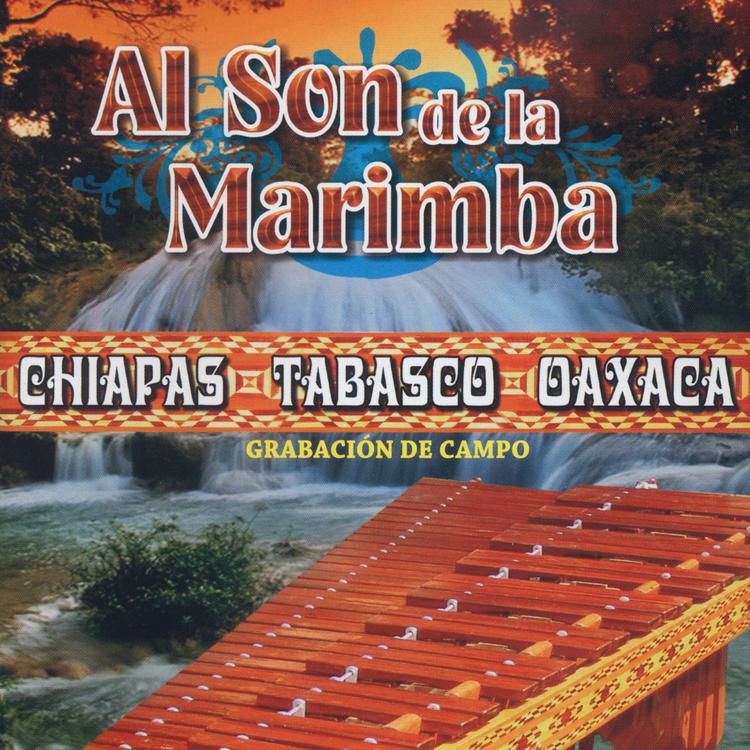 Al Son de la Marimba's avatar image