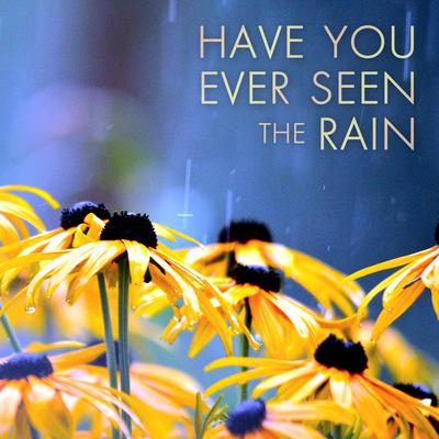 Have You Ever Seen the Rain By Steve Pulvers's cover