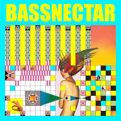 You & Me (feat. W. Darling) By Bassnectar, W. Darling's cover