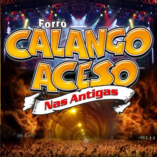 Calango aceso's cover