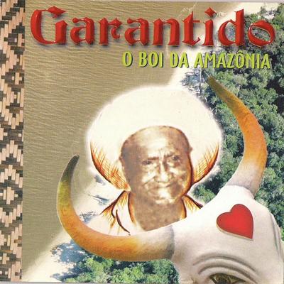 Alma de Guerreiro By Boi Bumba Garantido's cover