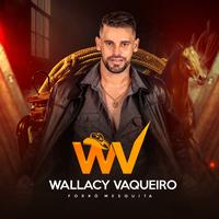 Wallacy Vaqueiro's avatar cover