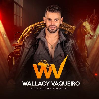 Dor da Despedida By Wallacy Vaqueiro, Junior Vianna's cover