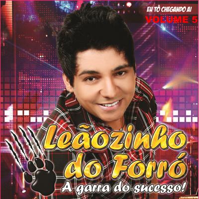 O Sanfoneiro Toca By Leãozinho do Forró's cover