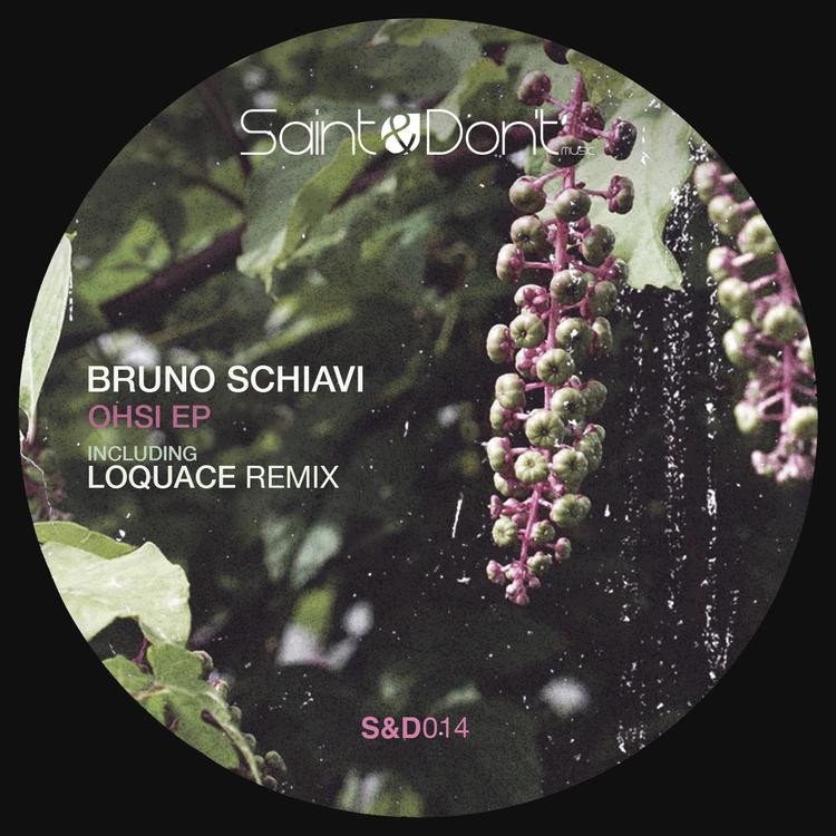 Bruno Schiavi's avatar image