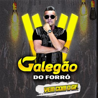 Galegão do Forró's cover