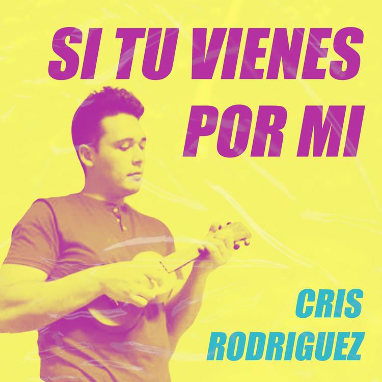 Cris Rodriguez's avatar image