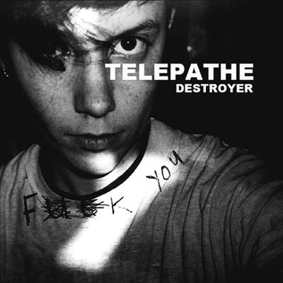 Destroyer By Telepathe's cover