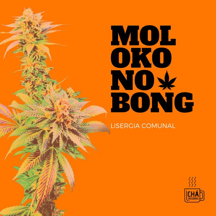 Moloko no Bong's avatar image