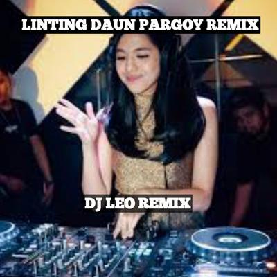 Dj leo remix's cover