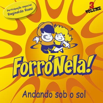 Me Perdi By ForróNela, Reginaldo Rossi's cover