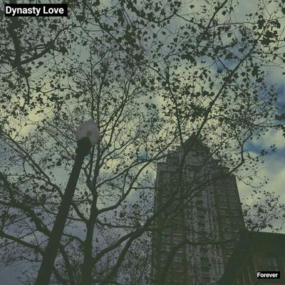 Dynasty Love's cover