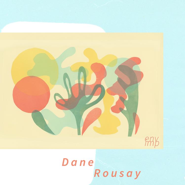 Dane Rousay's avatar image