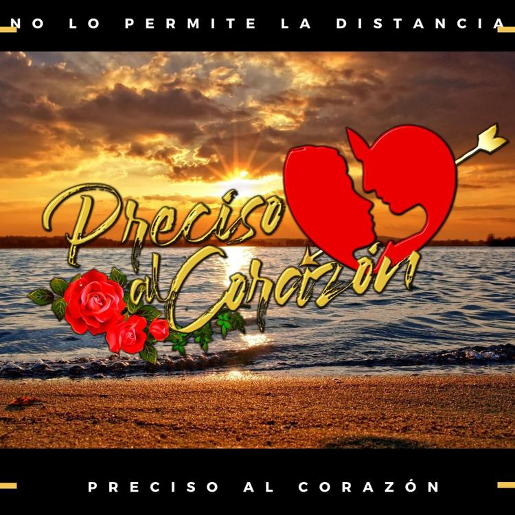 Preciso al Corazón.'s avatar image