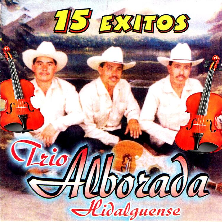 Trio Alborada Hidalguense's avatar image