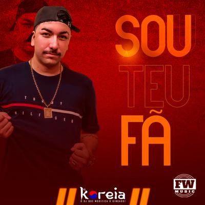 Sou Teu Fã (Remix)'s cover