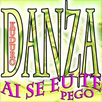 Danza Kuduro's avatar cover