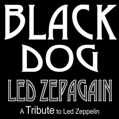 Black Dog By Led Zepagain's cover