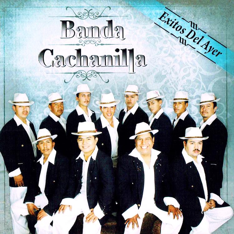 Banda Cachanilla's avatar image