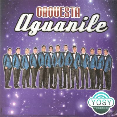 Orquesta Aguanile's cover