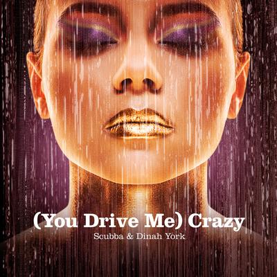 (You Drive Me) Crazy By Scubba, Dinah York's cover