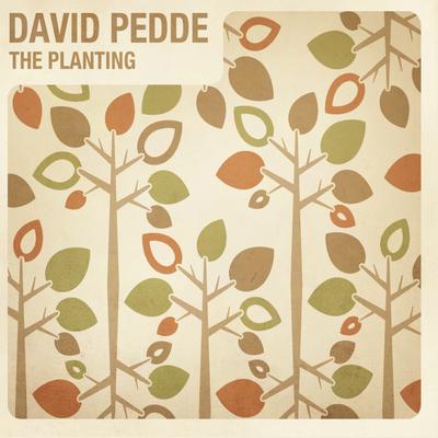 David Pedde's cover