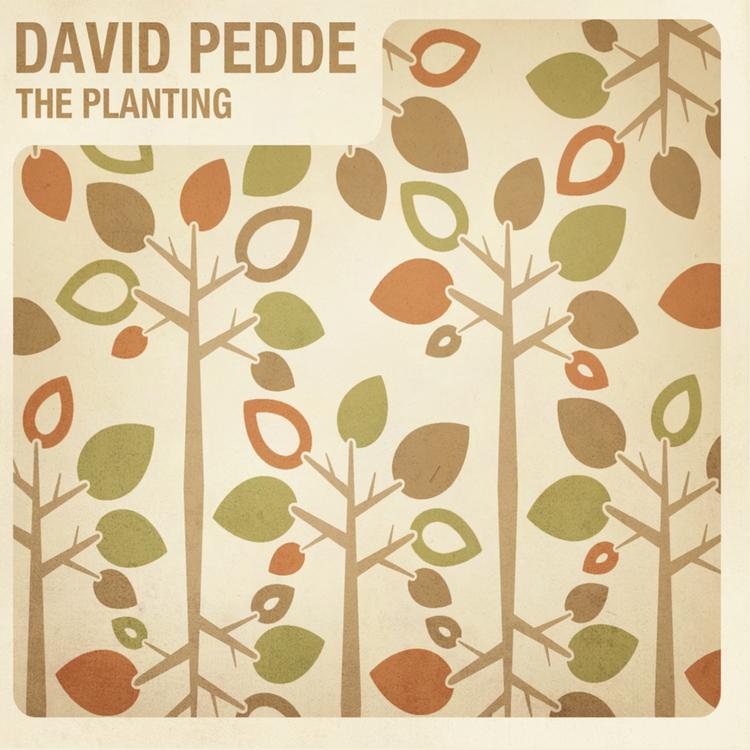 David Pedde's avatar image