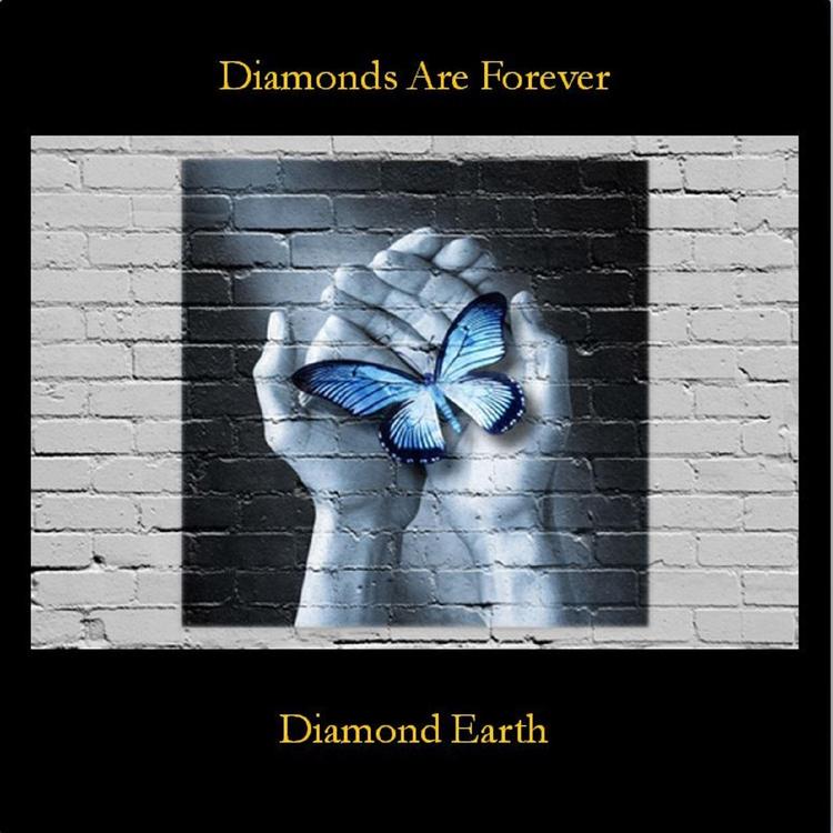 Diamond Earth's avatar image