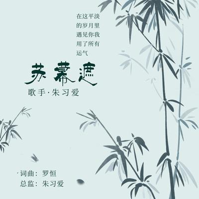 苏幕遮 (抖音版)'s cover