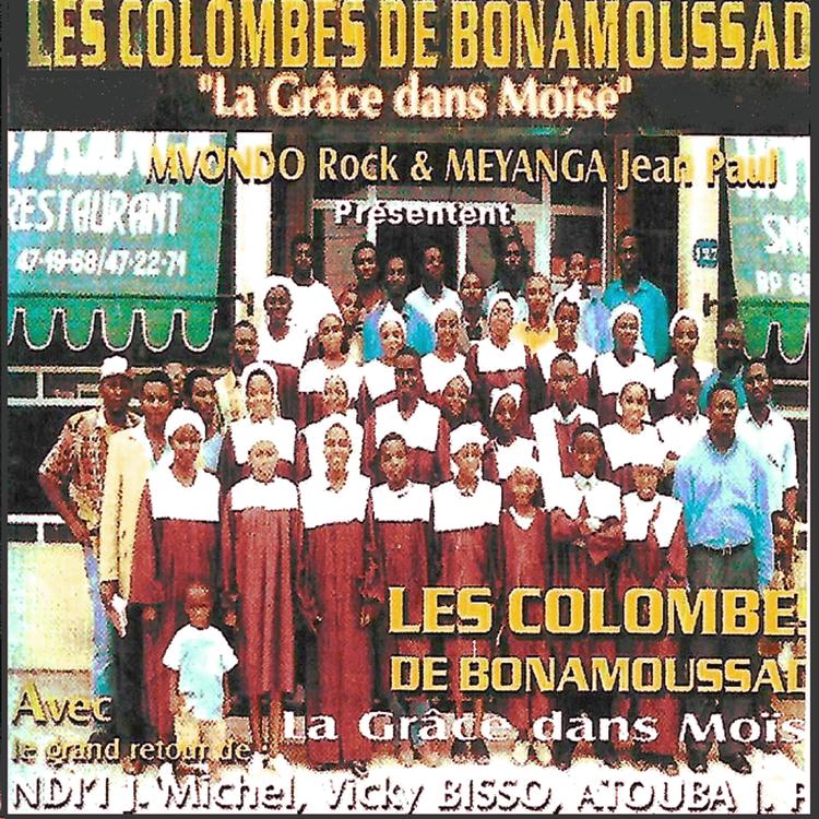 Les Colombes de Bonamoussad's avatar image