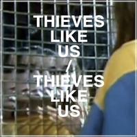 Thieves Like Us's avatar cover