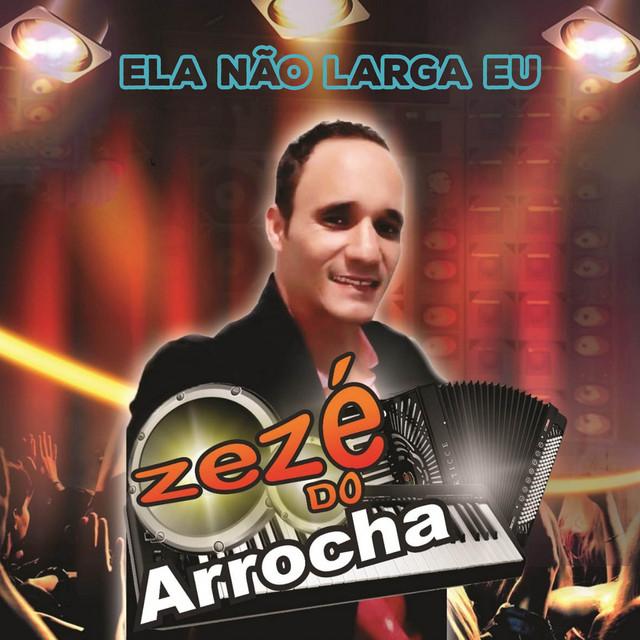 Zeze do Arrocha's avatar image