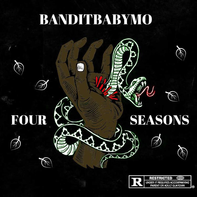 BANDITBABYMO's avatar image