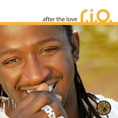 After The Love (Dave Kurtis Remix) By R.I.O.'s cover