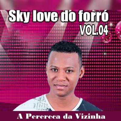 Sky Love do Forró's cover