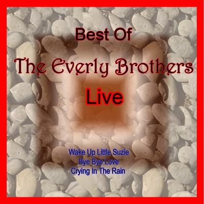 Till I Kissed You By Everly Brothers's cover