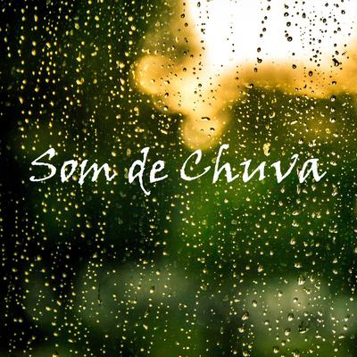 Som de Chuva, Pt. 16's cover