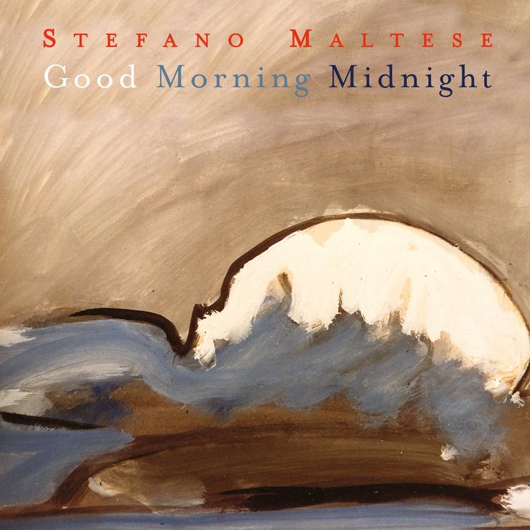 Stefano Maltese's avatar image